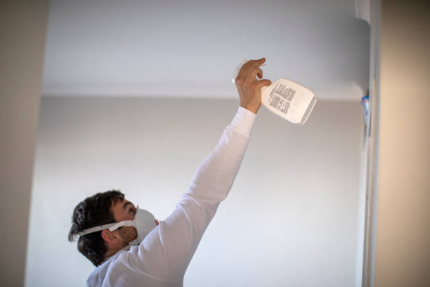 Best Commercial Mold Removal  in Valparaiso, FL