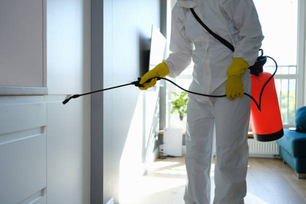 Office Mold Removal Services in Valparaiso, FL